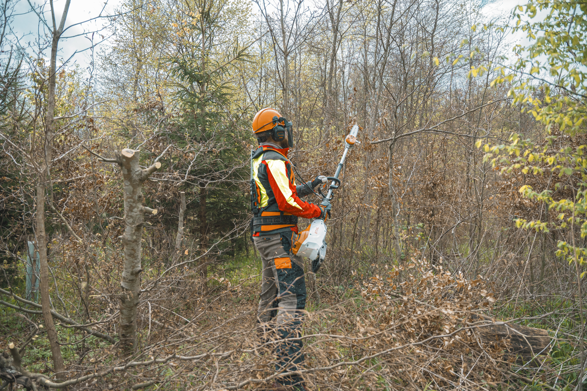 Une personne vue de dos coupe une branche avec la perche élagueuse STIHL HTA 150