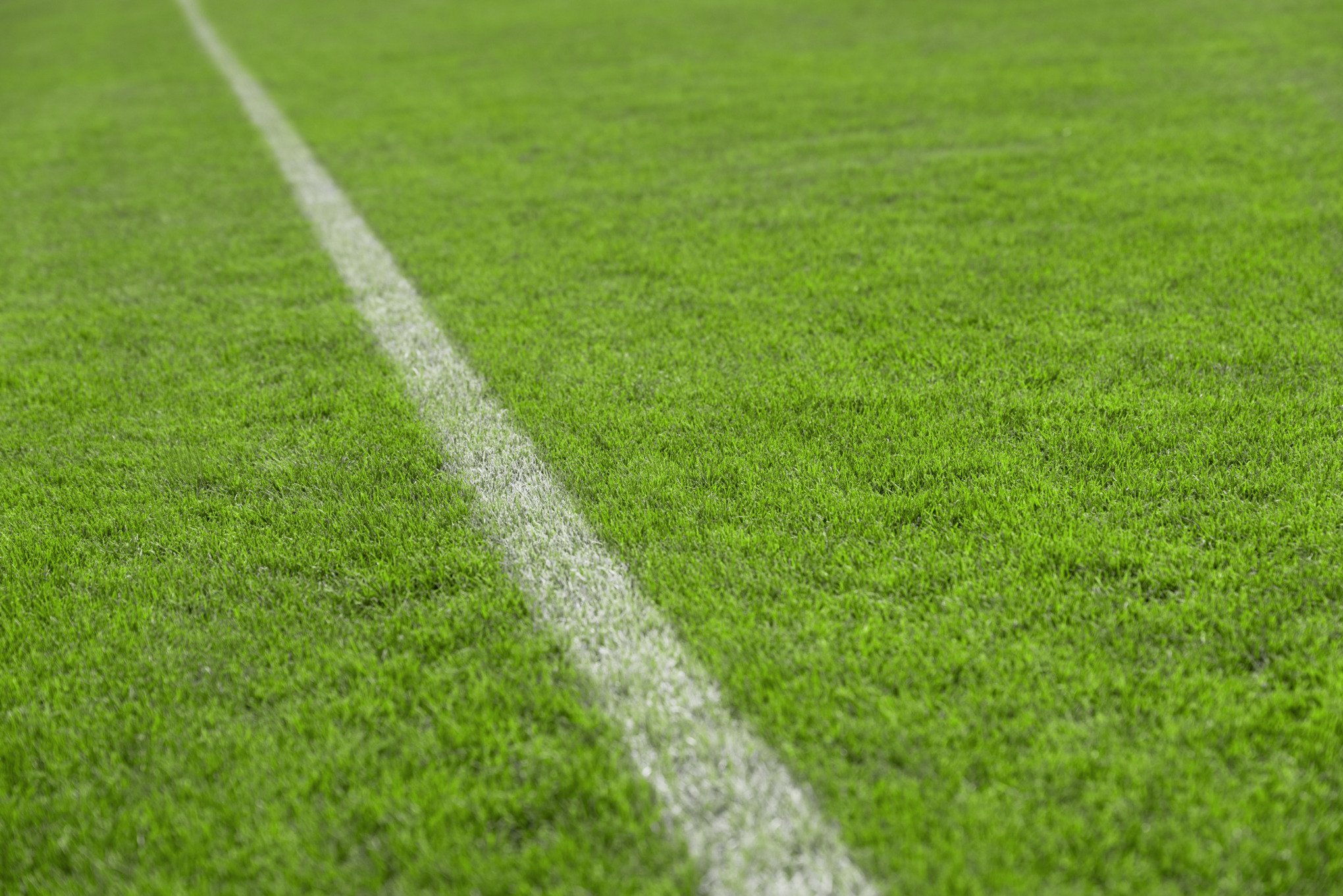 Gazon de terrain de sport court et régulier
