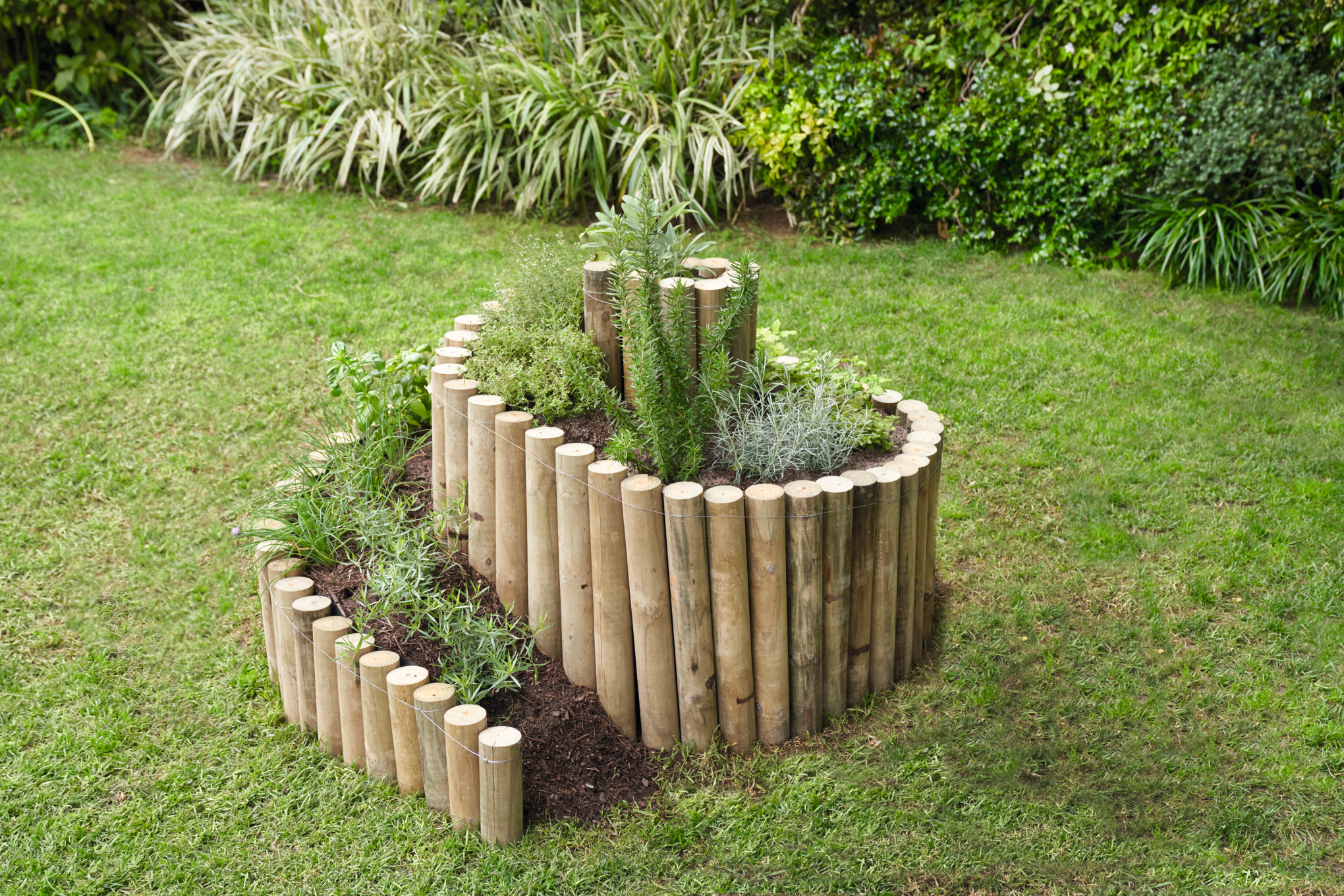 Spirale aromatique avec des piquets en bois dans un jardin