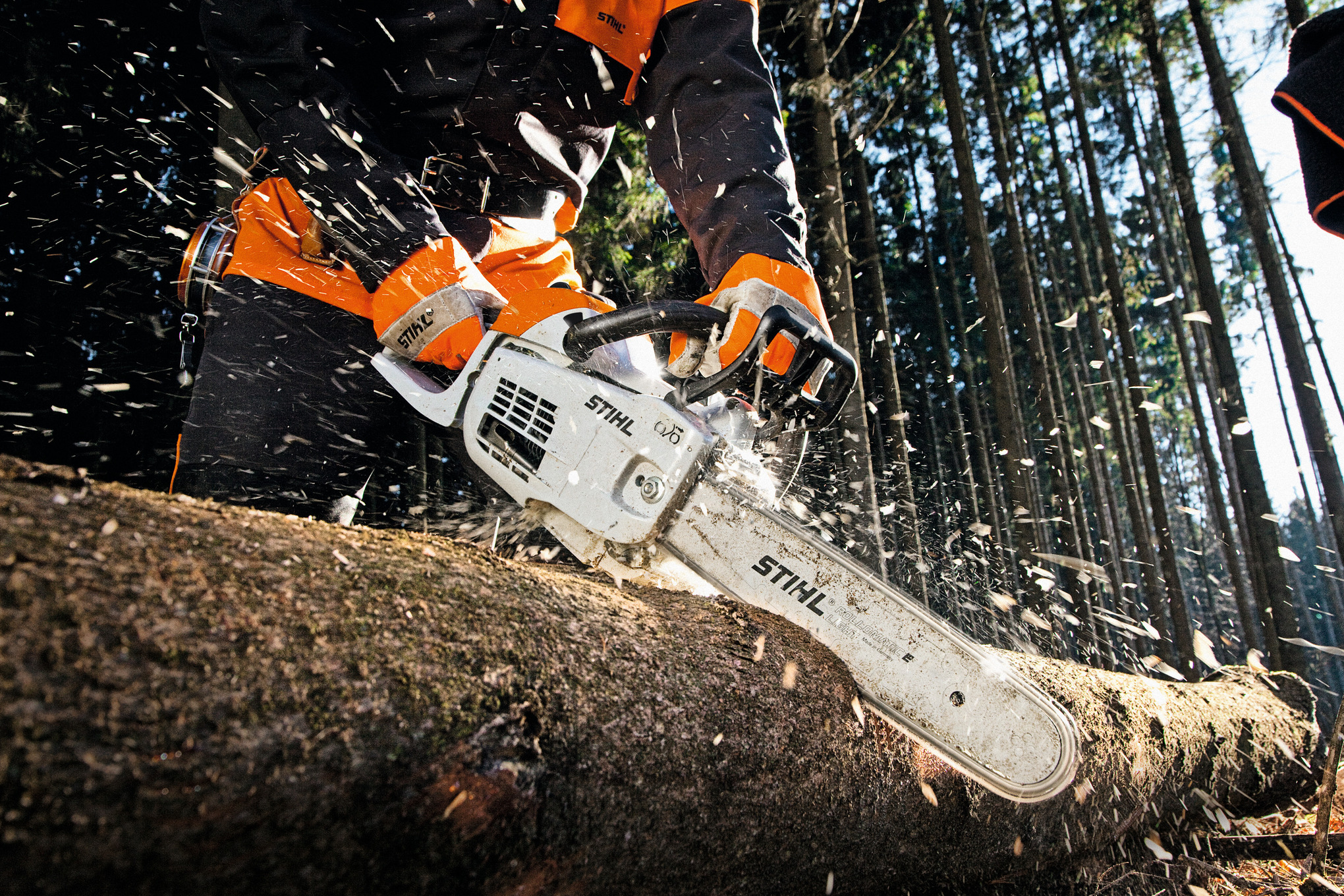 Élagueuse Thermique STIHL MS 201 TC-M