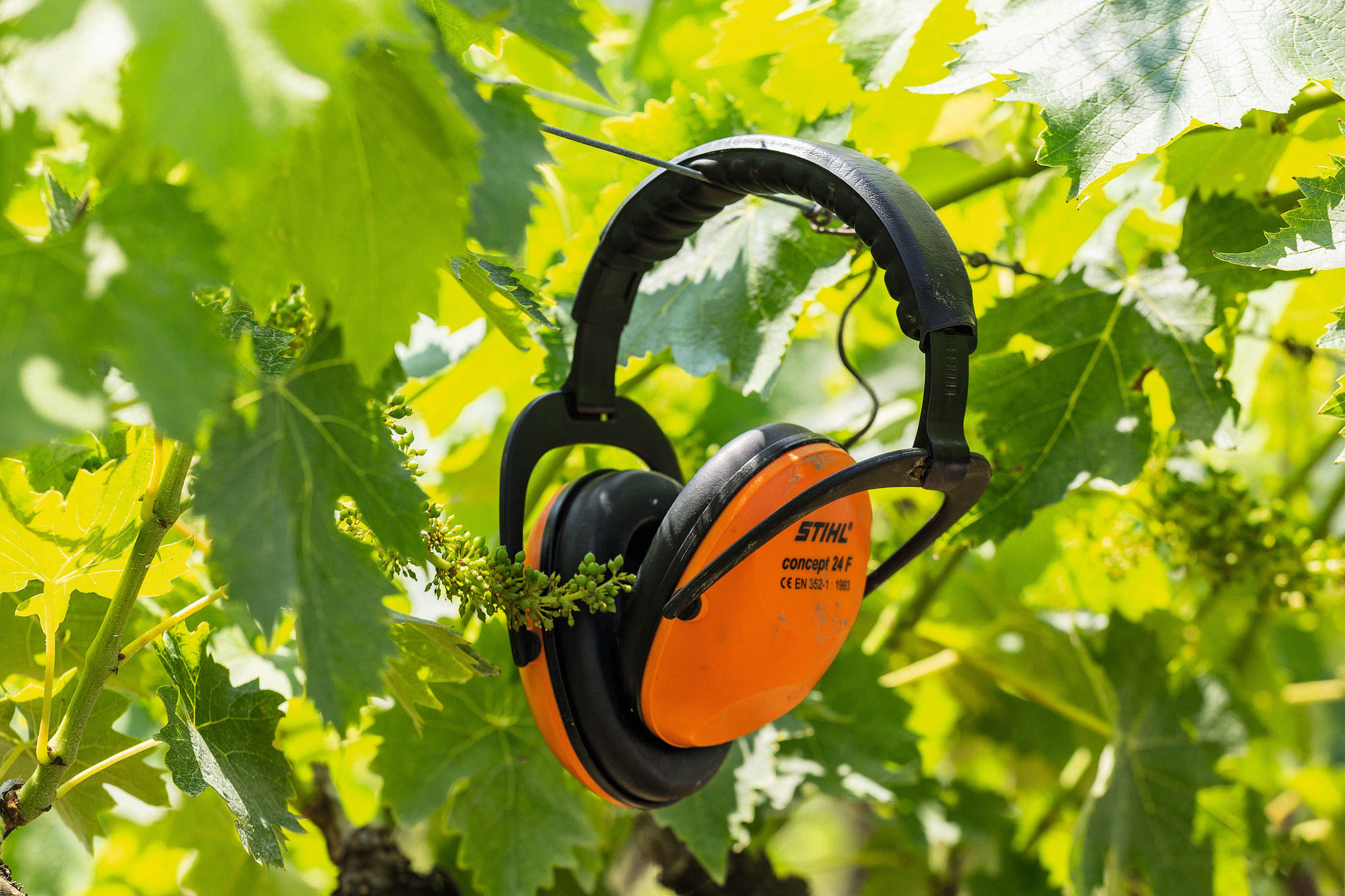 Protège-oreilles antibruit CONCEPT-24 F