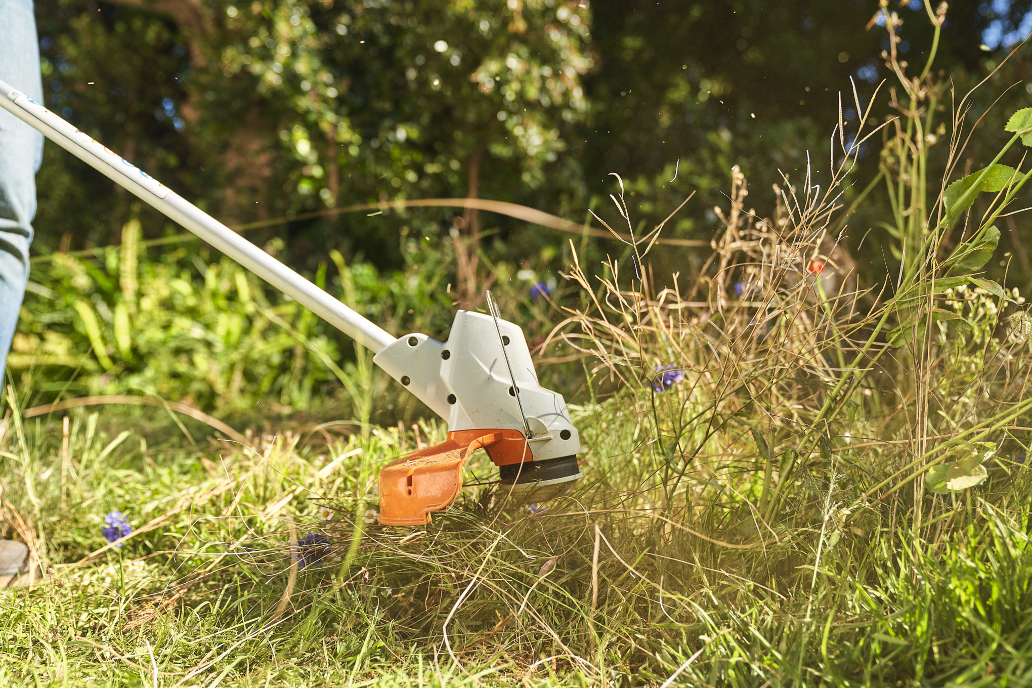 Gros plan sur une personne qui coupe une prairie de fleurs sauvages avec le coupe-bordure à batterie STIHL FSA&nbsp;57  