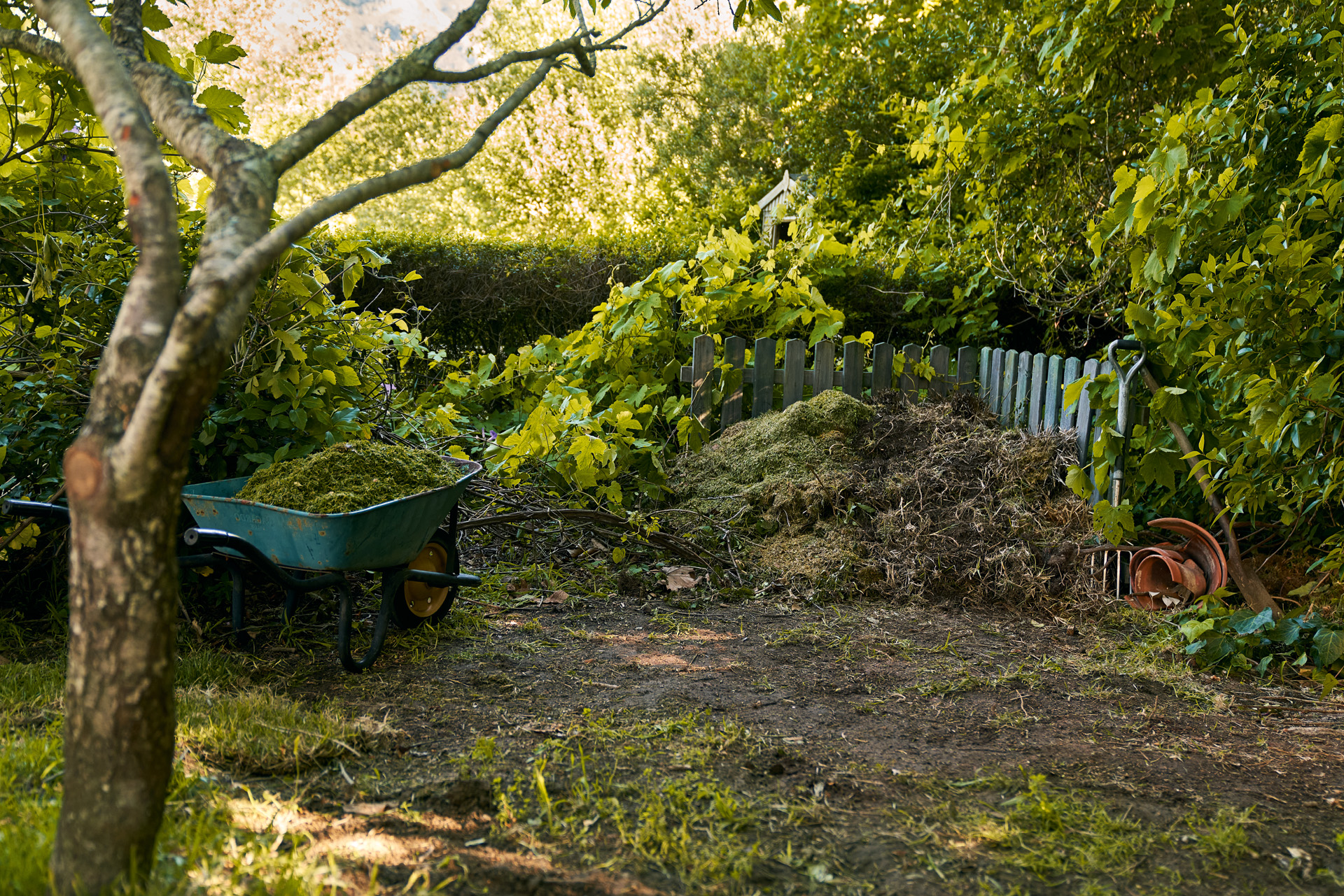 Un tas de compost et une brouette dans un coin ombragé d’un jardin