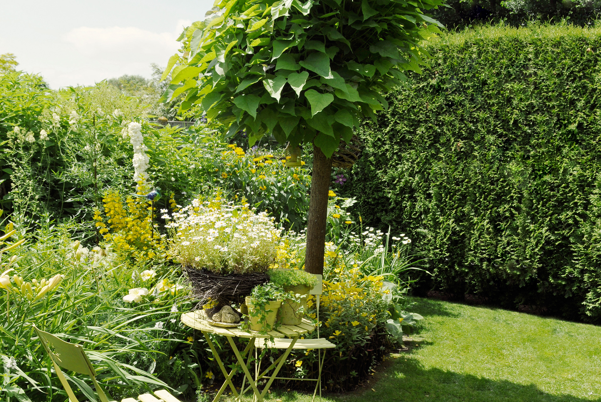 Petit jardin avec pelouse, mobilier de jardin et pots de plantes à l'avant, avec catalpa, arbustes à l'arrière.