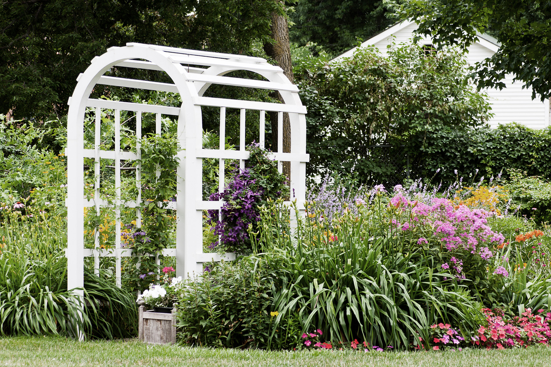 Support de plantes grimpantes blanc entre des plantes à fleurs roses et violettes dans le jardin