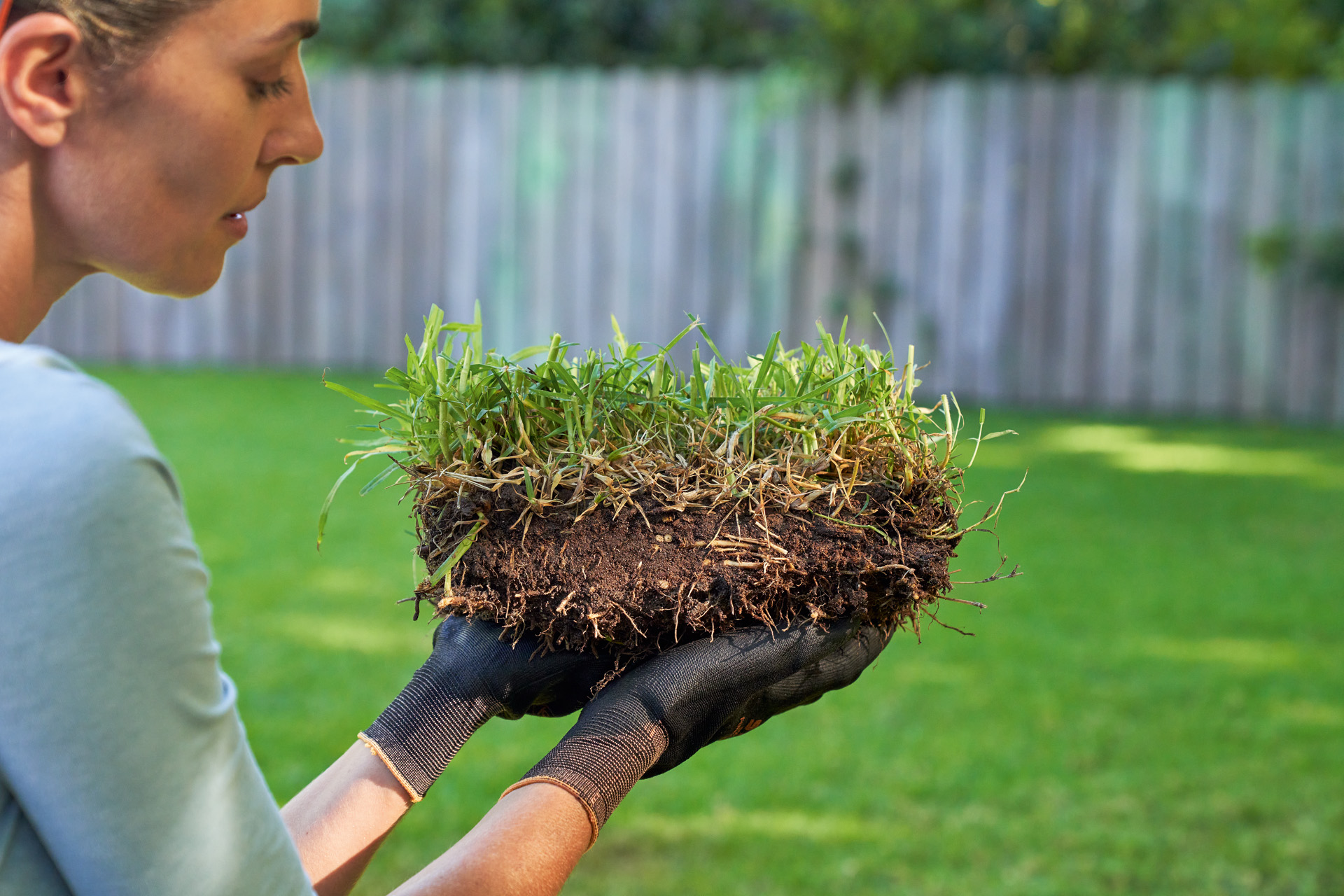 Femme tenant un morceau de gazon à la main avant d’améliorer son sol, en arrière-plan avec une pelouse verte et une clôture de jardin 