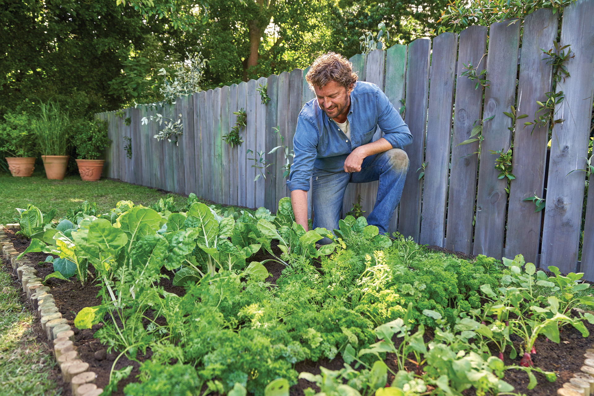 Homme accroupi près d’un coin potager luxuriant à côté d’une clôture en bois