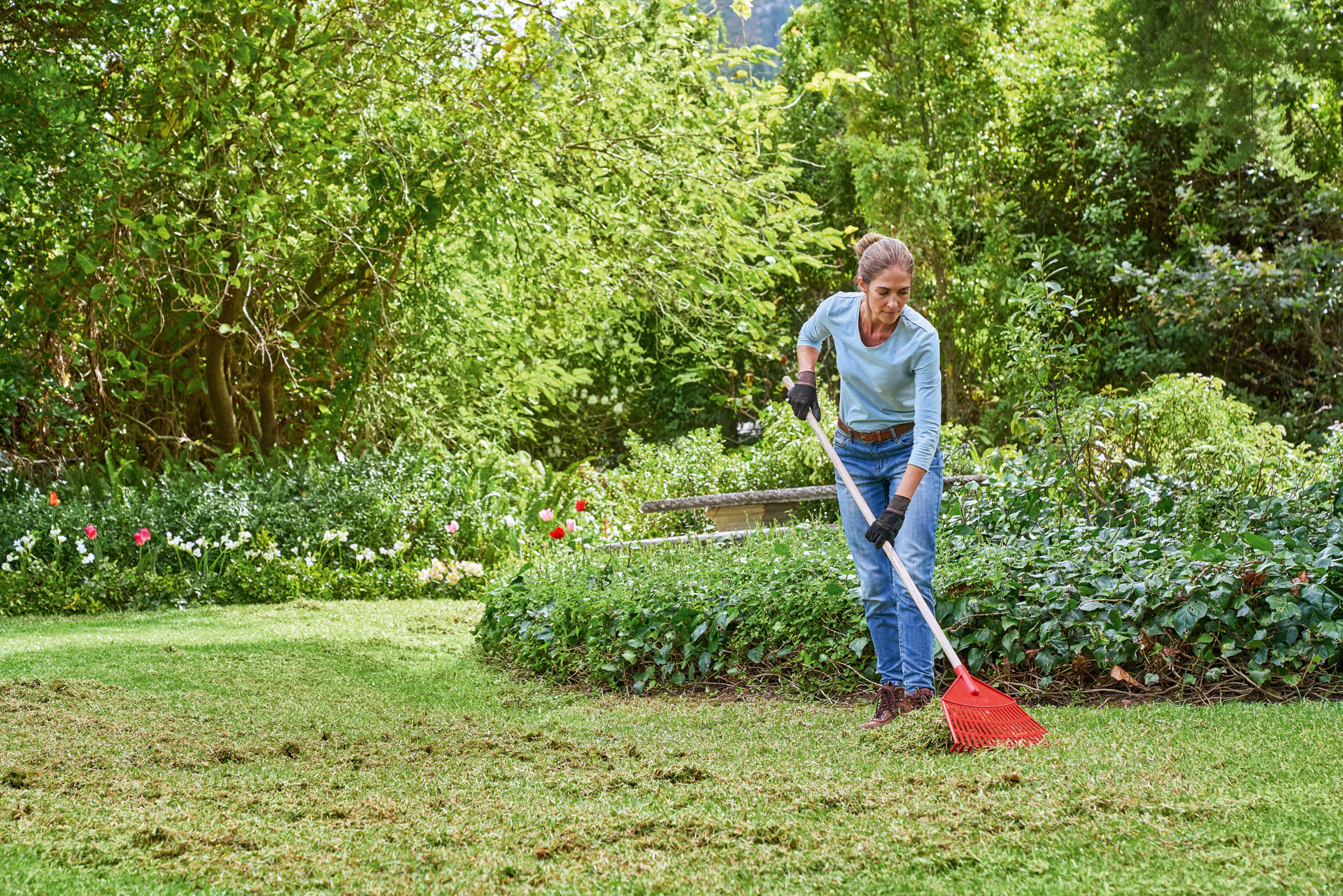 Une femme ratisse l’herbe dans son jardin