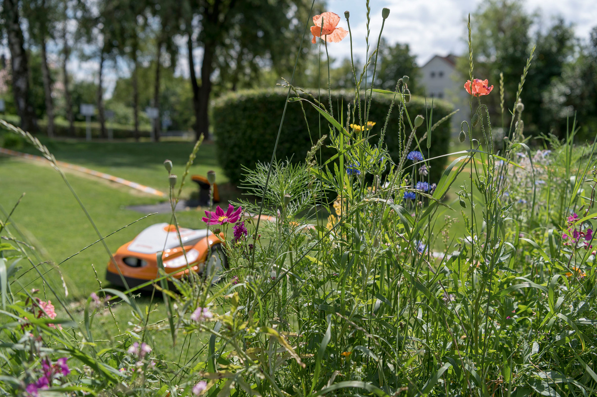 Fleurs multicolores au premier plan, derrière le STIHL iMOW dans un grand jardin bien entretenu