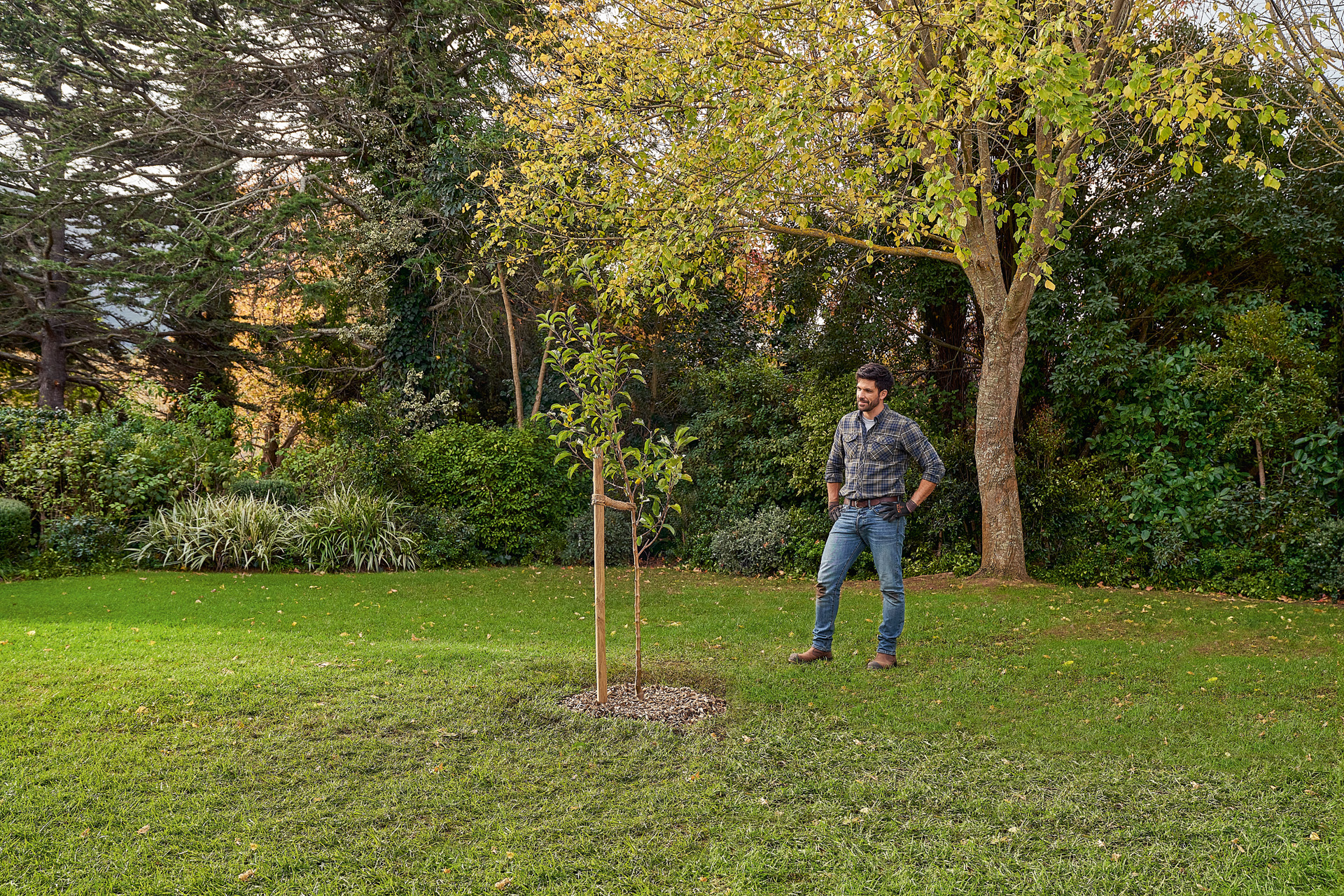 Un homme se trouve dans le jardin à côté d’un arbre nouvellement planté