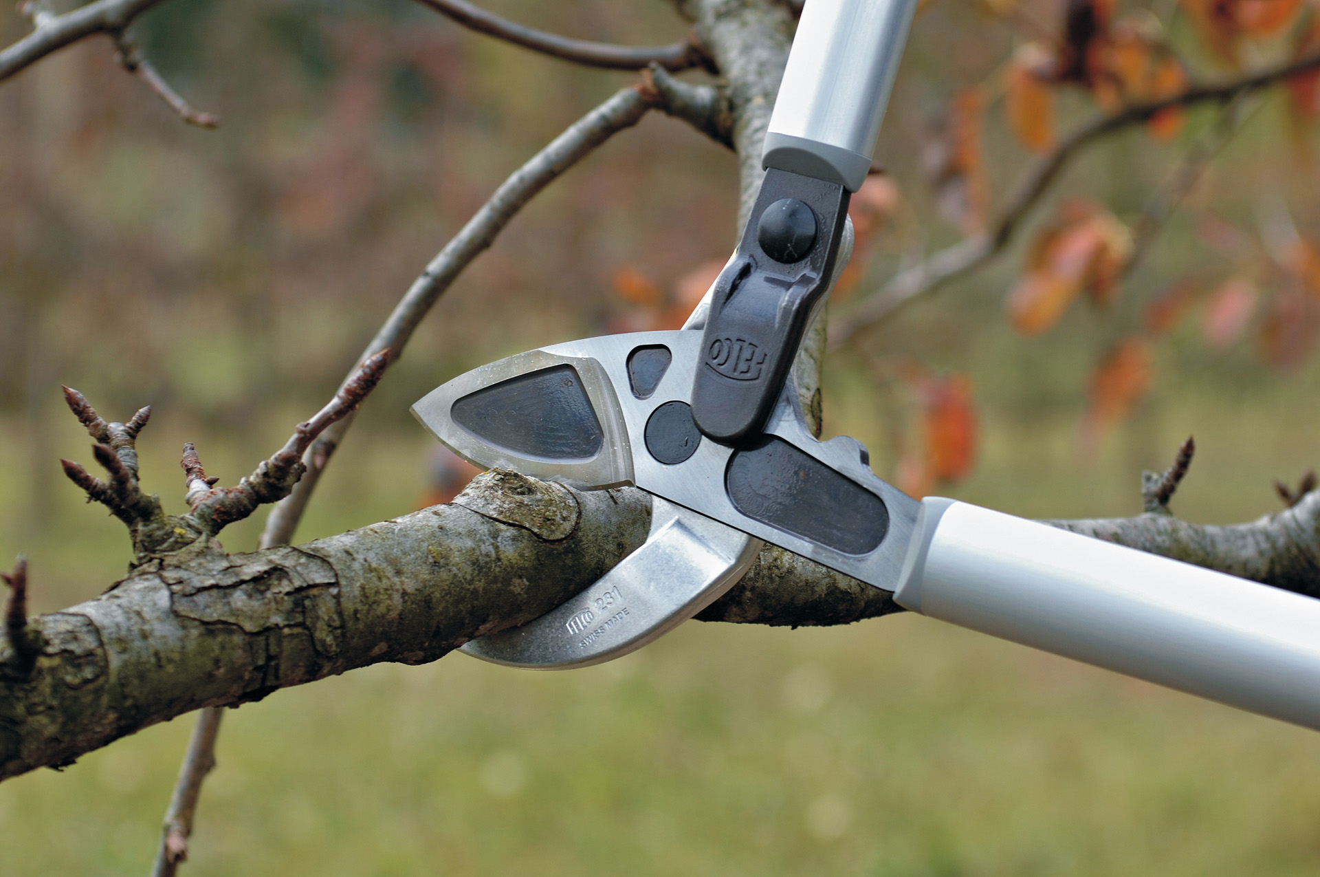 Taille de branche à l’aide d’un coupe-branches 