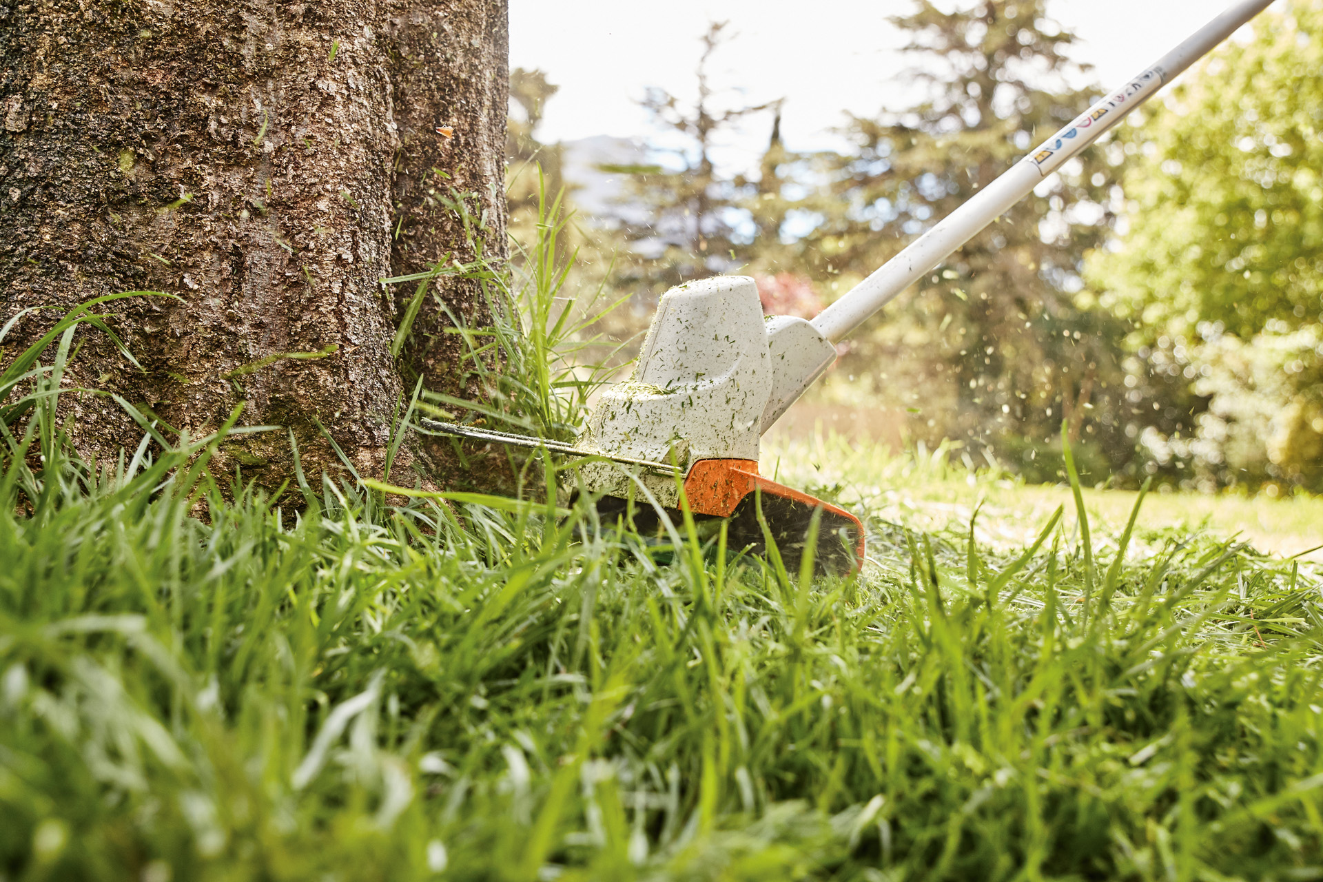 L’herbe au pied d’un arbre est coupée à l’aide d’un coupe-bordure à batterie STIHL FSA 57