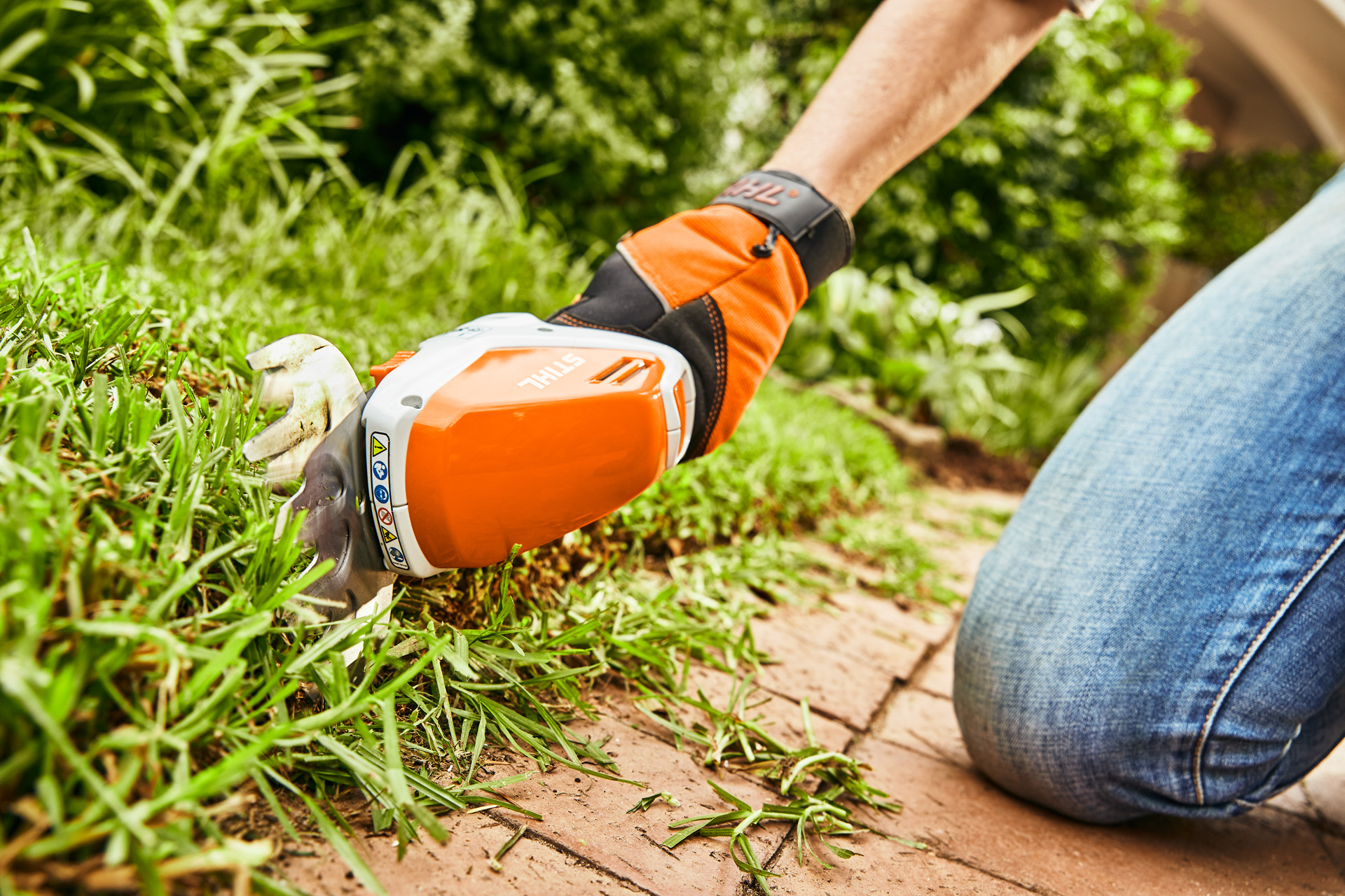 Une cisaille à gazon sur batterie STIHL HSA 26 utilisée pour couper les bordures d’un gazon