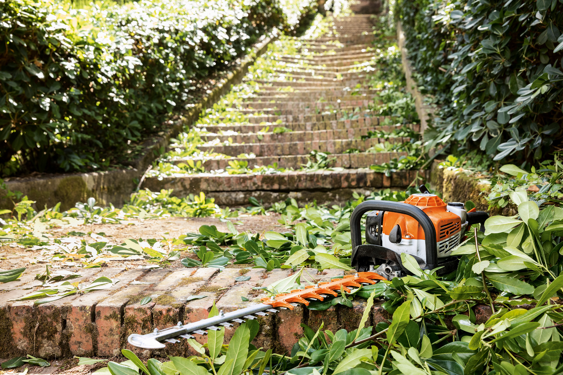 Un taille-haie thermique STIHL HS 82 T sur un mur de briques, entouré de débris de coupe au pied d’un escalier en pierre bordé de haies