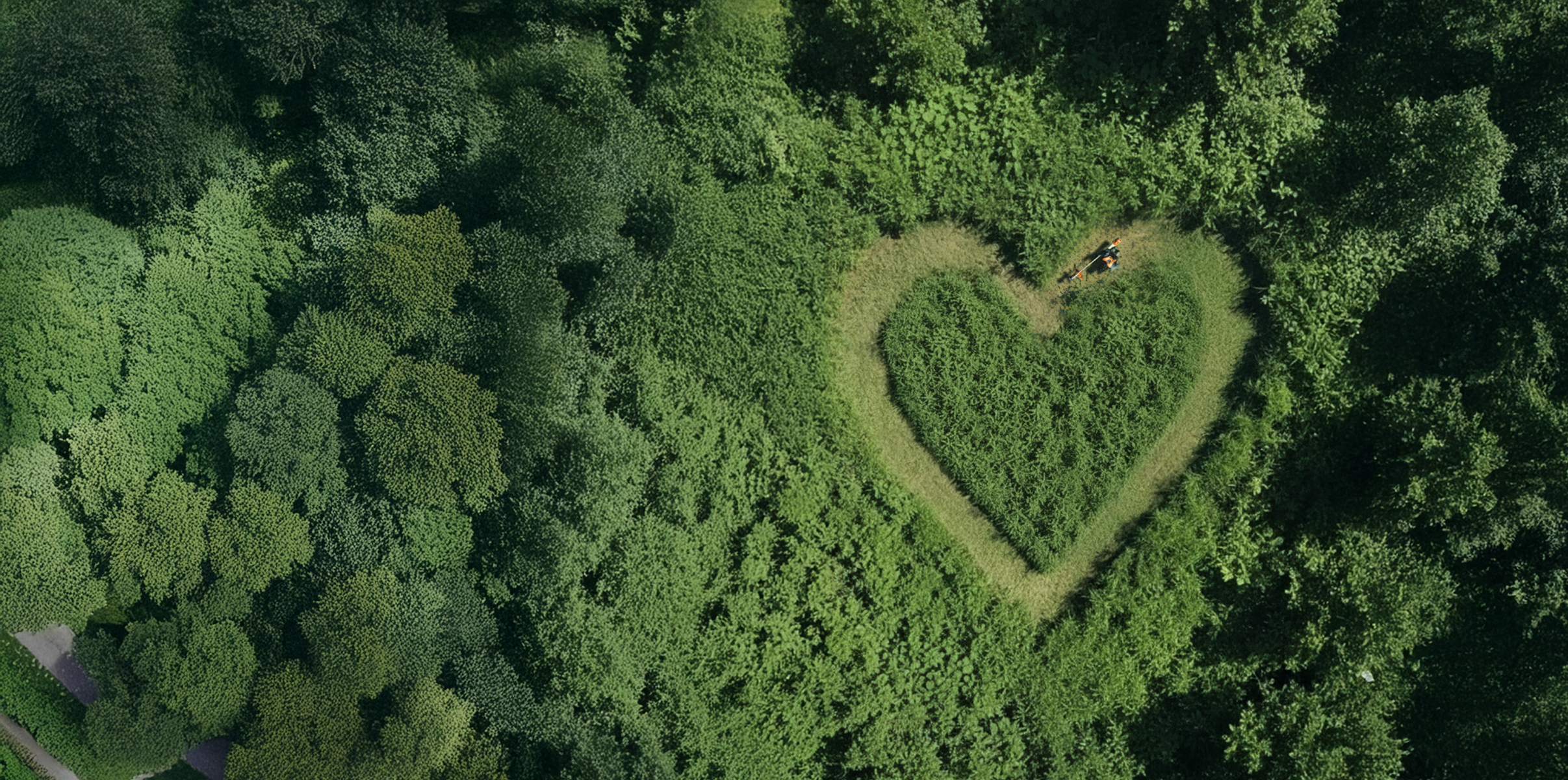 Une personne débroussaille un coeur dans un champ