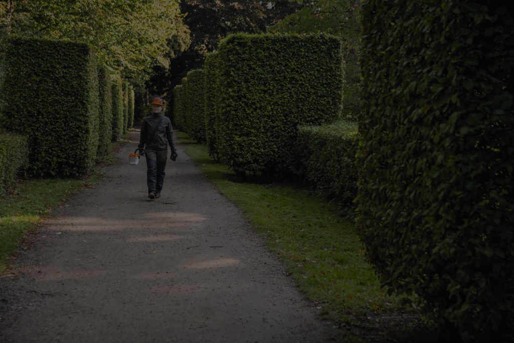 Femme en équipement de protection STIHL portant un appareil à batterie, marchant sur un chemin entouré de buissons taillés en forme carrée