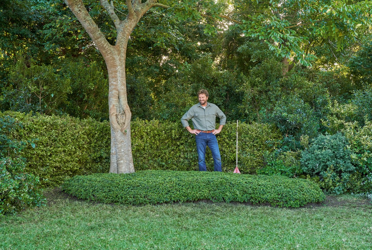 Homme en chemise verte regardant les couvre-sols sous un arbre avec satisfaction