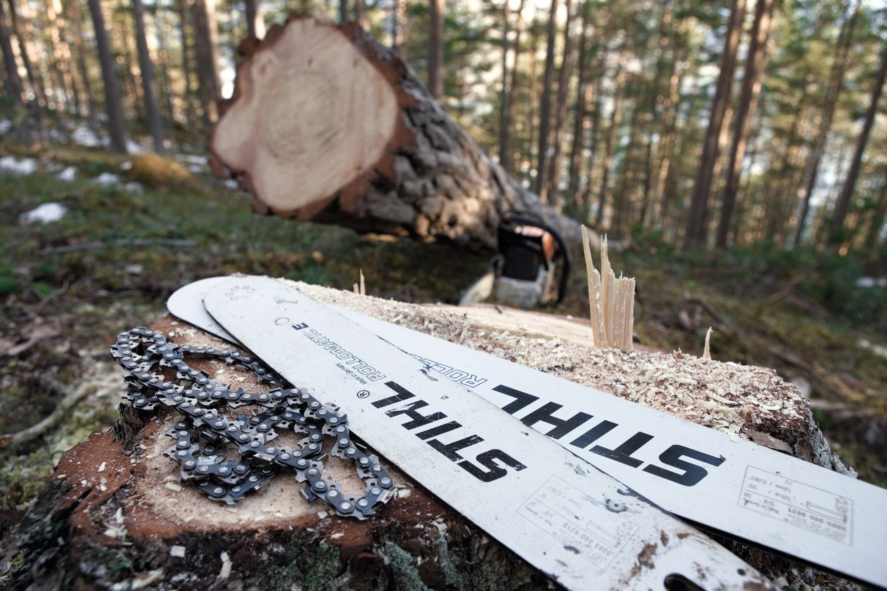 Chaînes et guide-chaînes STIHL sur une souche dans la forêt, en arrière-plan un arbre fraîchement scié