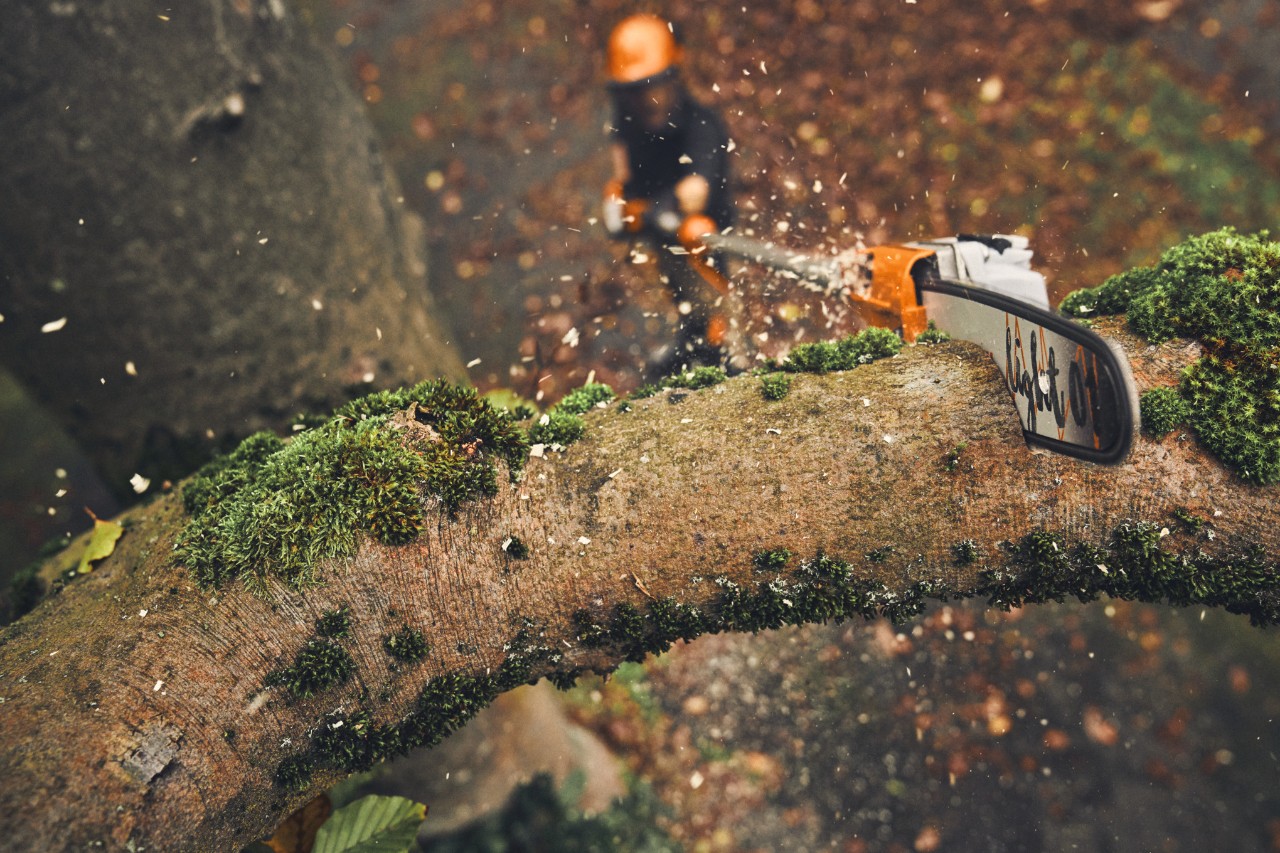 Un homme scie les branches d’un arbre à l’aide de la perche élagueuse à batterie STIHL HTA 160.