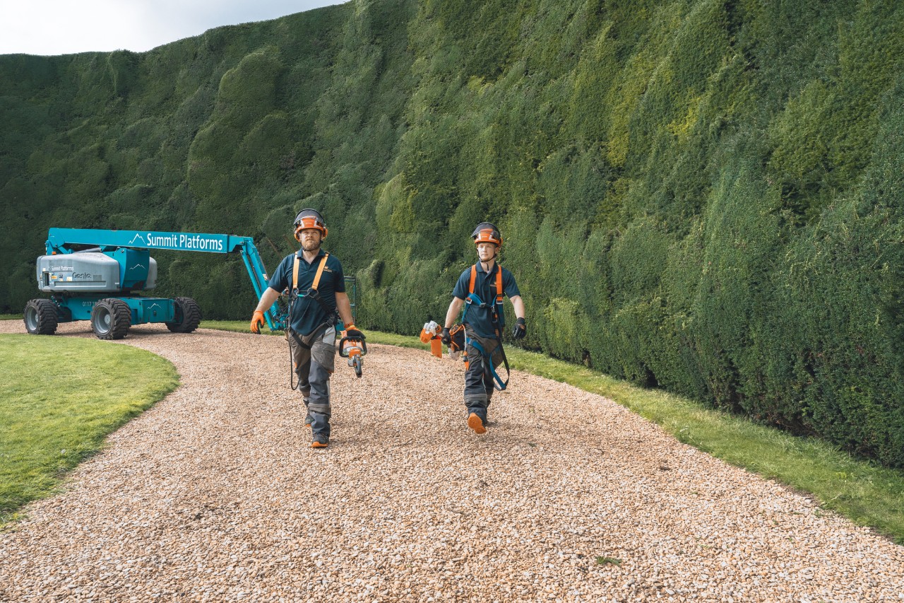 Deux professionnels équipés de machines STIHL longent une haie gigantesque.