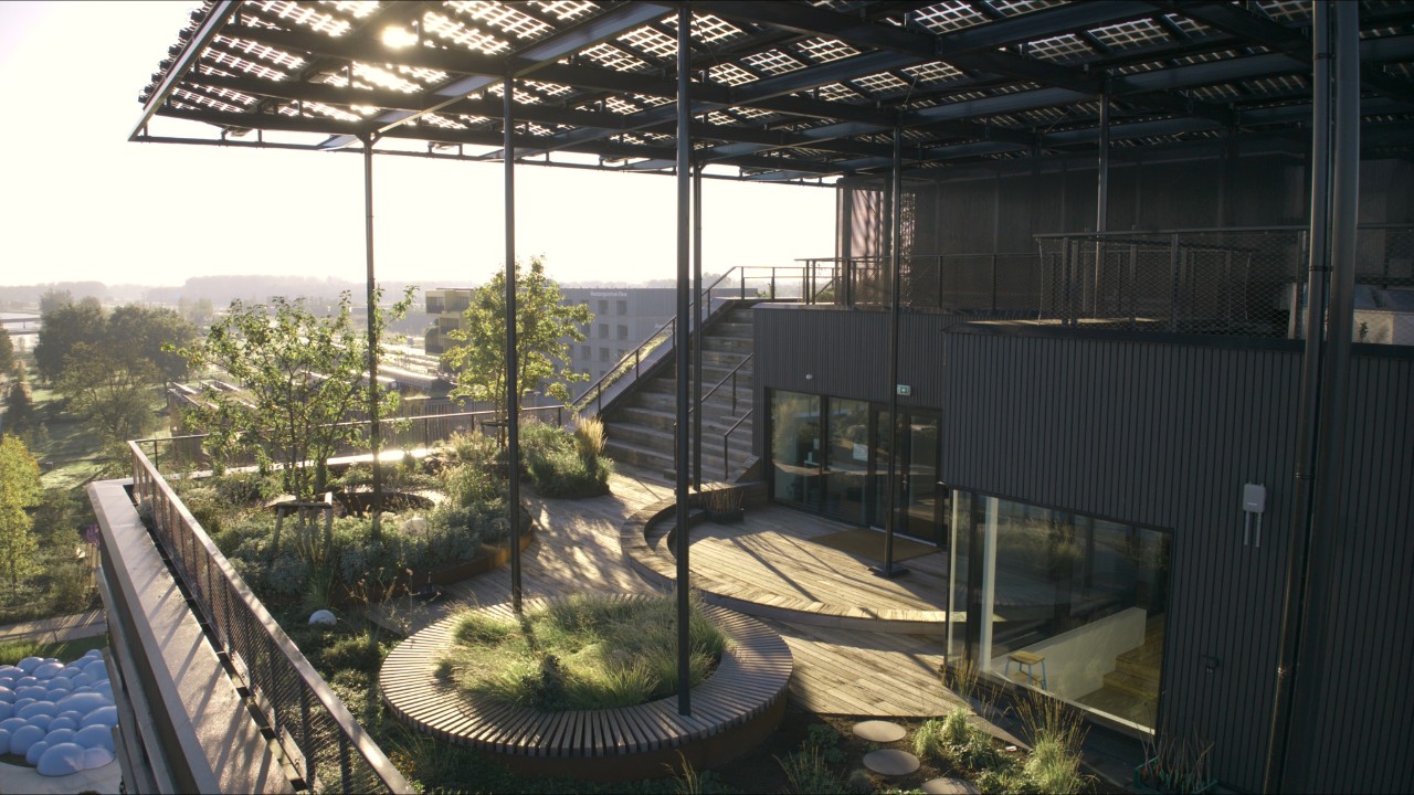 Prise de vue d’un terrain de campus végétalisé