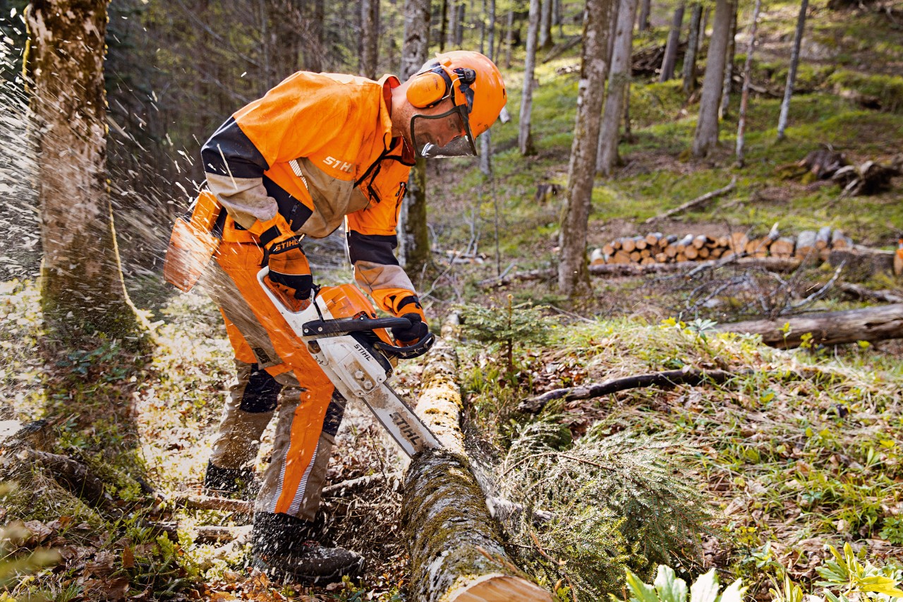 Un ouvrier forestier en vêtements de protection STIHL avec pantalon Dynamic Vent (classe de protection anti-coupures 1) coupe un arbre en forêt avec une tronçonneuse STIHL