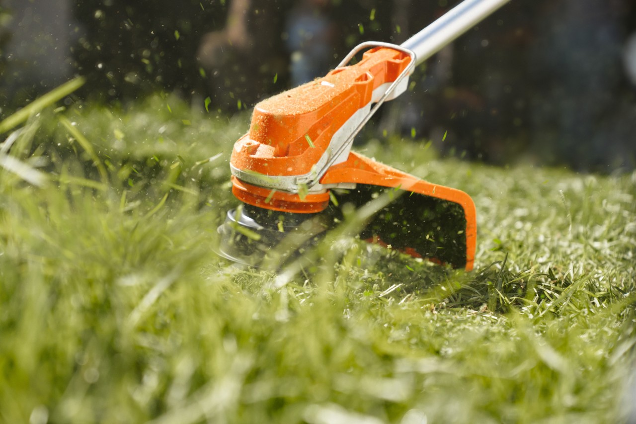 La pelouse est coupée avec une débroussailleuse à batterie STIHL FSA 60 R