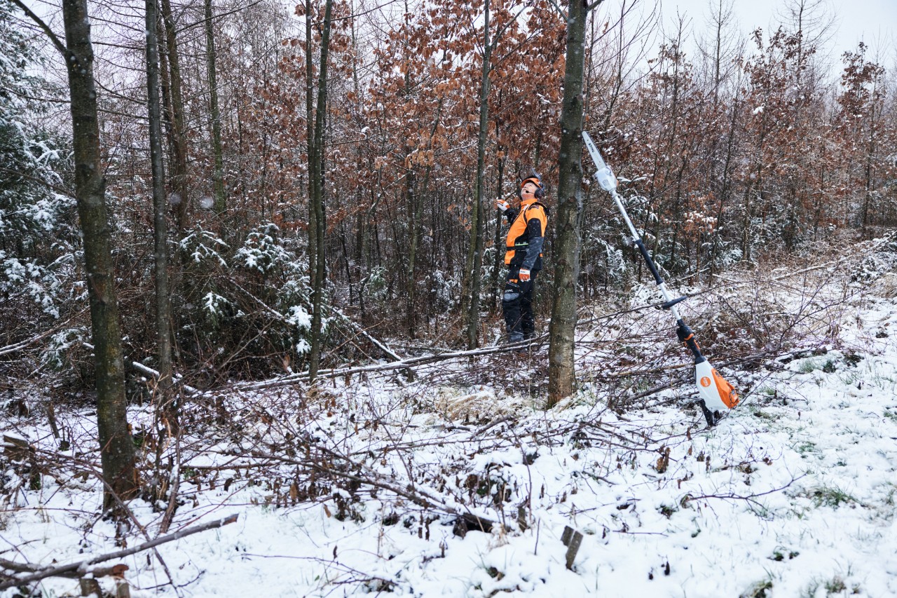 Un homme travaille dans une forêt enneigée avec un équipement de protection individuelle. Au premier plan, une élagueuse sur batterie STIHL HTA 150 est appuyée contre un tronc d'arbre.