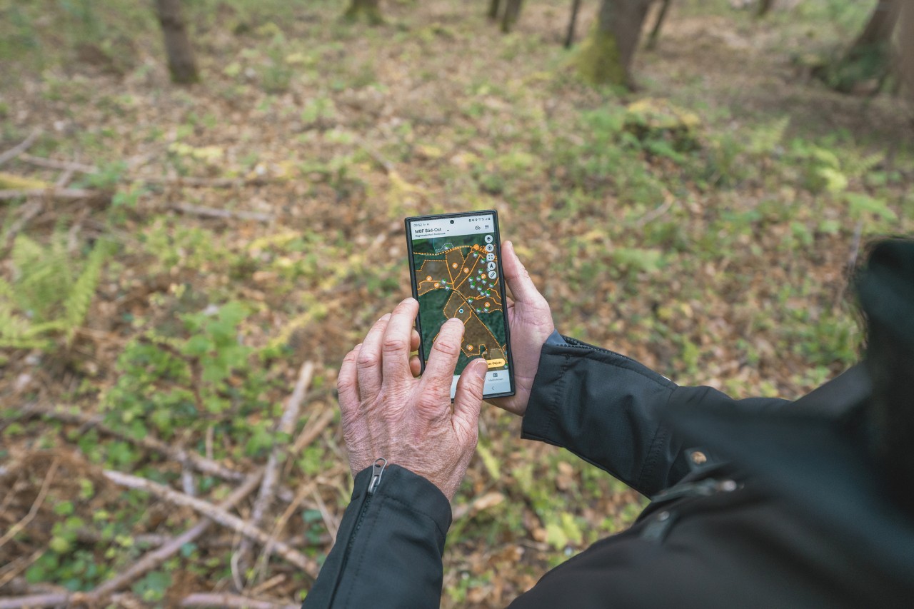 Gros plan sur un homme tenant un téléphone portable avec une carte d’une zone forestière comportant des repères