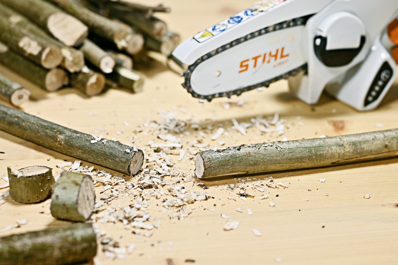 Branches pour décoration d’intérieure coupées avec une scie de jardin à batterie GTA 26 de STIHL