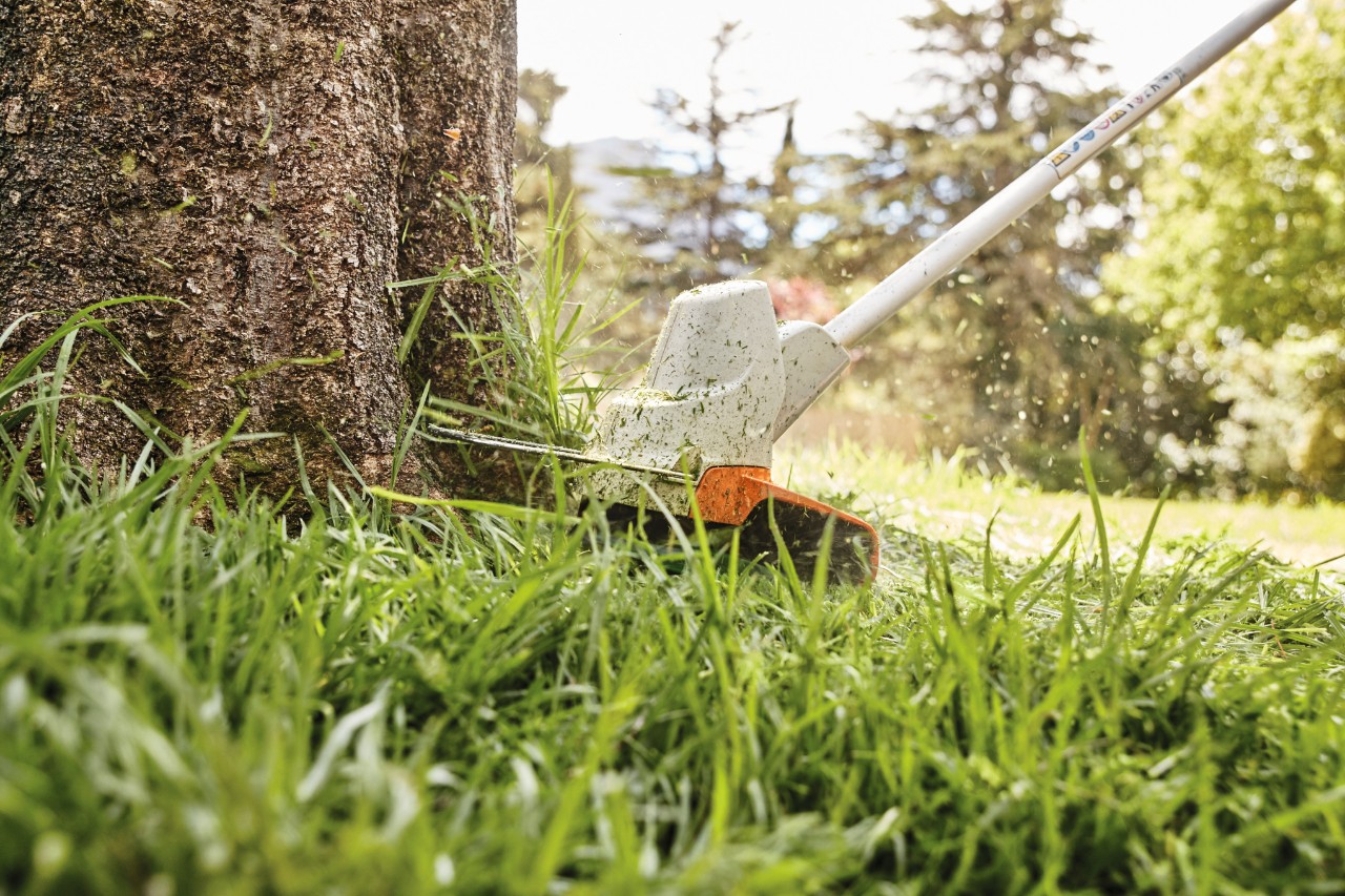 Tondre les bordures d’un arbre avec la débroussailleuse à batterie STIHL FS 57
